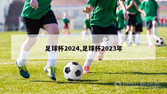 足球杯2024,足球杯2023年
